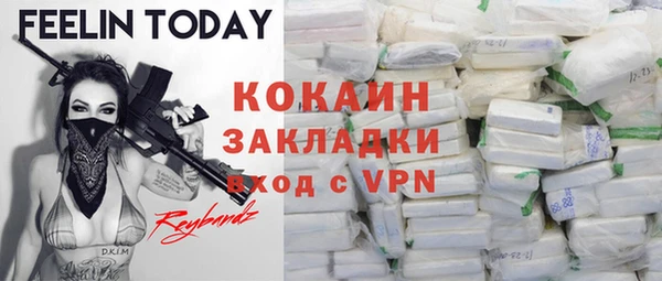 индика Елизово
