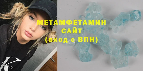 индика Елизово