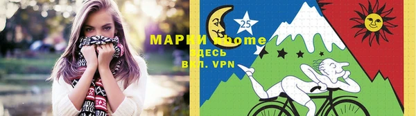 индика Елизово