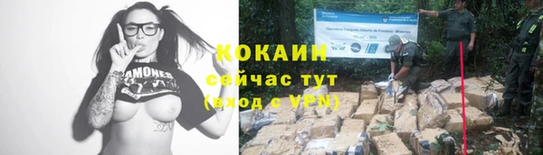 твердый Елабуга