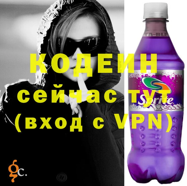 индика Елизово