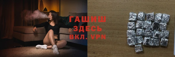 индика Елизово
