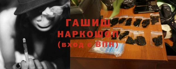 индика Елизово