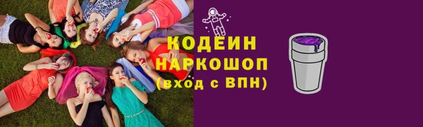 индика Елизово