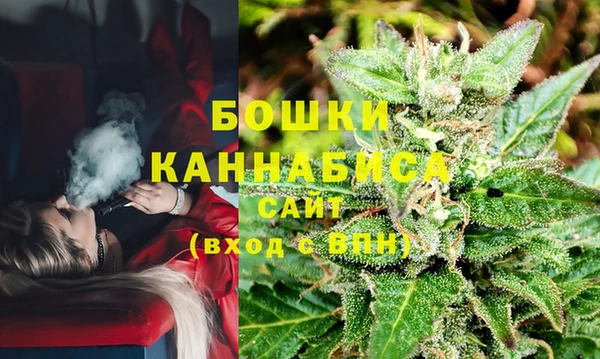 дживик Губаха