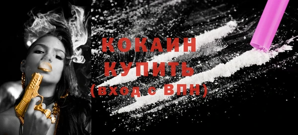 индика Елизово