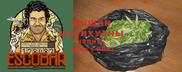 индика Елизово
