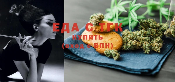 индика Елизово