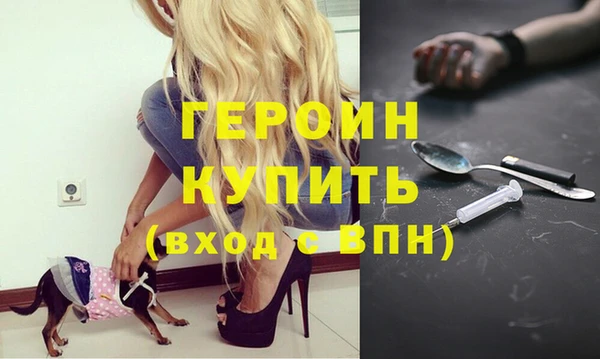 индика Елизово