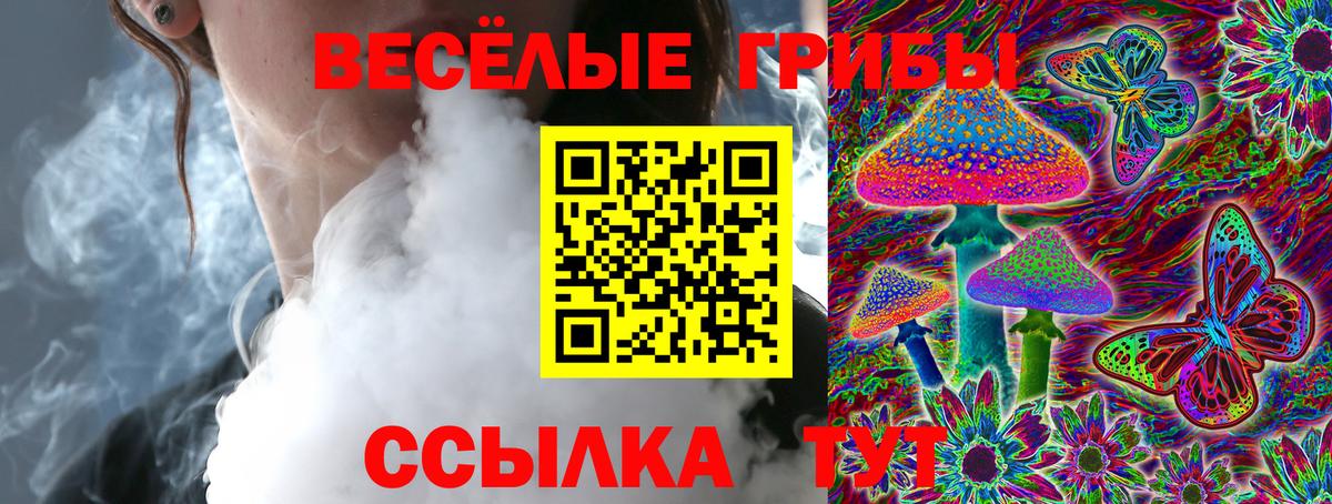 наркошоп  Галлюциногенные грибы прущие грибы  Вход с VPN  Заинск 
