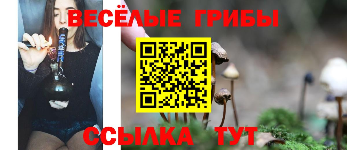 Псилоцибиновые грибы прущие грибы Заинск